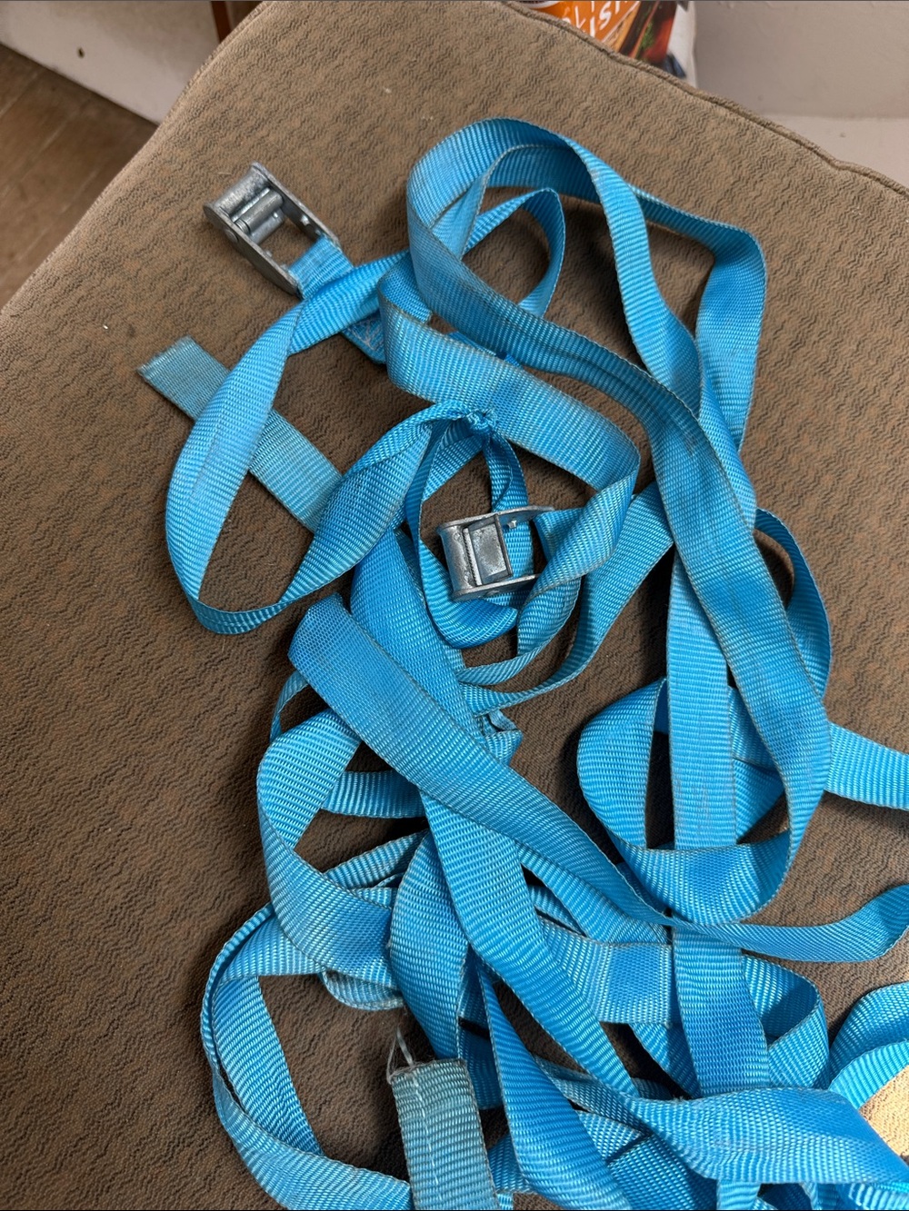 Two Bright Blue Utility Tie-Down Straps with Metal Buckles
